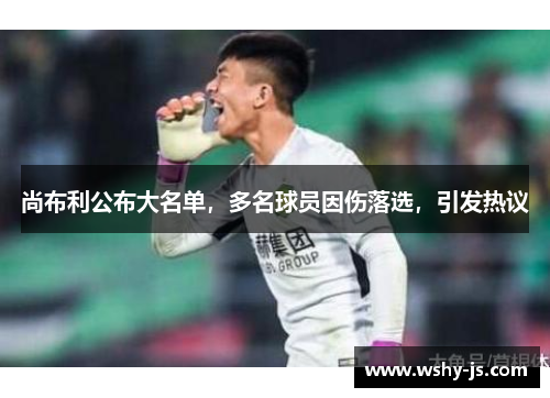 尚布利公布大名单，多名球员因伤落选，引发热议